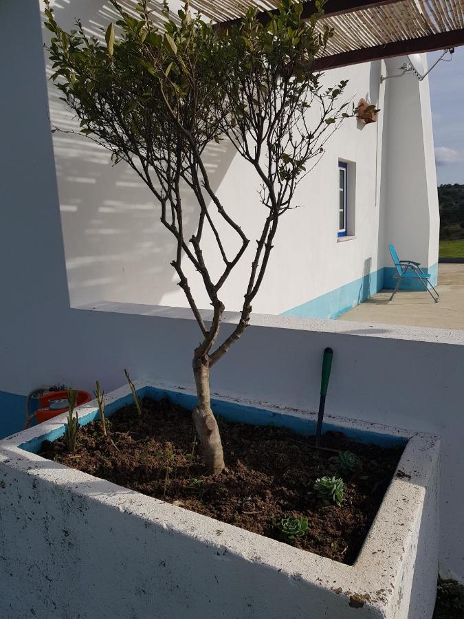 Monte Da Belavista Melides Exterior foto
